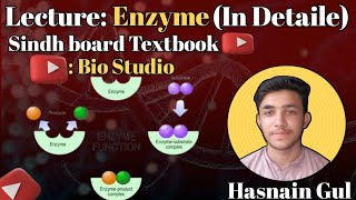 Enzyme StructureEnzyme FunctionEnzyme DiscoveryLecture In Urdu amp Hindi [upl. by Peyter]