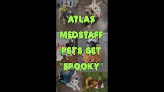 They are creepy kooky and all together super cute  Halloween Fun  Atlas MedStaff [upl. by Kym233]