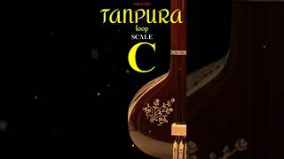 C Tanpura [upl. by Elesig]