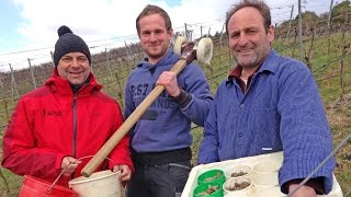 Die Winzer das Weingut und die vier Jahreszeiten  Die WetterReportage [upl. by Halihs993]