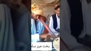 Bakht Mir Sulimankhail Gharani Sandara gharani attan kochai duet javedAmirkhailOfficial [upl. by Hareenum]