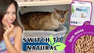 💩 OKO Cat Litter quotLess Messquot Review  The Switch to Natural Litters [upl. by Lundt131]