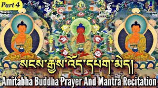 ☸Amitabha Buddha Prayer And Mantra RecitationPart 4སངས་རྒྱས་འོད་དཔག་མེདSadhana Prayer Practice [upl. by Beutler]