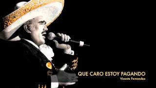 Vicente Fernandez  Que Caro Estoy Pagando [upl. by Anuaf633]