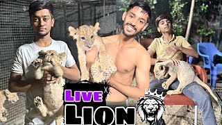 Live visited to lion [upl. by Leandro108]