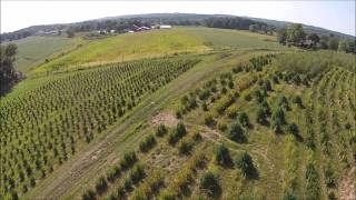 Grower explains How to start a Tree Farm [upl. by Dorsman]