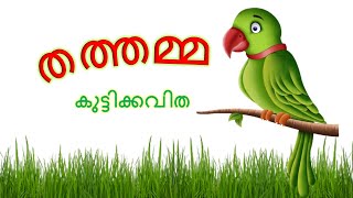 മലയാളം കുട്ടിക്കവിത  Malayalam kuttikavitha  തത്തമ്മ കുട്ടിക്കവിത  തത്തമ്മ പാട്ടുകള് [upl. by Nunnery]