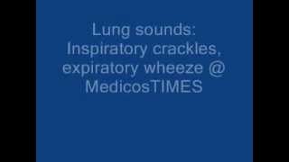 inspiratory crackles expiratory wheeze [upl. by Apul]