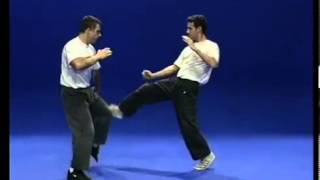 Tutorial Krav Maga Techniques [upl. by Oirom]