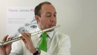 Flute Tutorial  How to double tongue on the flute [upl. by Nett]