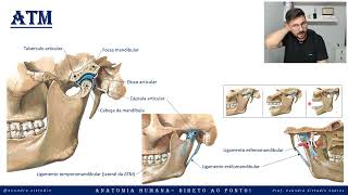 ATM  Articulação temporomandibular  Sistema articular  Anatomia direto ao ponto [upl. by Atinej102]