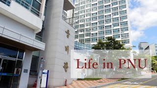 Life in Pusan National University Dorm Room Tour  Vlog in Korea 1 [upl. by Leban]