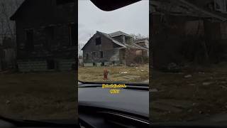 Extremely rough area on Detroits East Side is full worn out abandoned homes [upl. by Huan666]