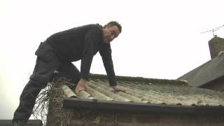 Inspecting an Leaking Asbestos Outbuilding Roof  Dalton Roofing [upl. by Asenaj]