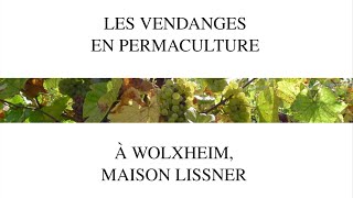 Vendange Lissner [upl. by Pam]