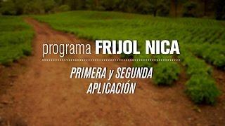 Primera Aplicación y Control de Maleza  Programa Frijolnica RAMAC [upl. by Edrei]