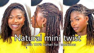 HOW TO  Mini Twists on natural 4c hair  with Afro bulk extensions   5weeks update FT  QVR [upl. by Odnalref]