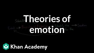 Theories of Emotion  Processing the Environment  MCAT  Khan Academy [upl. by Pearlstein]