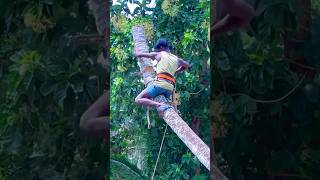 8610339350 tree cutter in kaniyakumari  amazing tree cutting [upl. by Ajnotal]