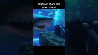 Aquarium Shark Dive gone wrong 🦈 [upl. by Lein]