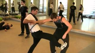 Leung Ting Wing Tsun Kung Fu Hungary  Pécs PTE [upl. by Oilut183]