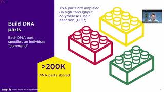 Amyris Platform Deep Dive  Automated strain designengineering screening and biomanufacturing [upl. by Hgielanna]