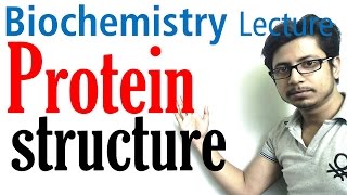 Protein structure  primary secondary tertiary and quaternary structure of protein [upl. by Adnhoj586]