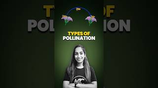 Types of Pollination [upl. by Asirem748]