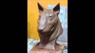 Escultura  Busto Bull terrier  Bull terrier sculpture [upl. by Milo248]