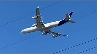 Clear Skies SeaTac Plane Spotting 242024 [upl. by Neersan786]