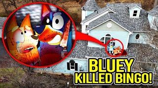 DRONE CATCHES BLUEY KILLING BINGO IN REAL LIFE BLUEY LOST EPISODE [upl. by Hew]