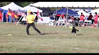 Noriko Miyamoto and Dagda 2024 USDDN World Finals [upl. by Rother]