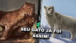 Evolução dos Felinos e Espécies Pré Historicas [upl. by Rock]