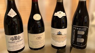 Burgundy Wine Basics  Different Regions of Burgundy and Tasting Strategy for Beginners [upl. by Eryt]