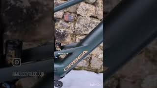 The new 2025 Orbea Wild m10 mtb orbea orbeawild [upl. by Annaig758]