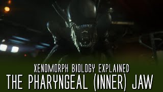 The Pharyngeal Inner Jaw Explored  Xenomorph Biology Explained [upl. by Sayers]