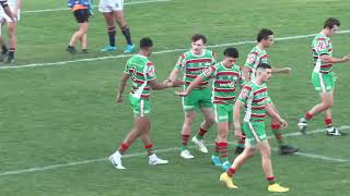 Rabbitohs v Storm  Jersey Flegg Round 14 Highlights [upl. by Melanie]