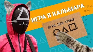 Видео для кошек Игра для кошек [upl. by Ruenhs]