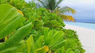 Rainy day in the Maldives  Holiday Island Resort [upl. by Tutto]