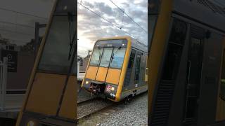 Tangara T Set departs Eastwood train sydneytrains railway [upl. by Hatty114]