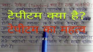 टेपीटम क्या है टेपीटम का महत्व लिखिए Tapitam kya hai  Tapetum ka mahatva likho [upl. by Ameerak]