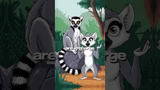 Discover the Unique World of Lemurs 5 Fun Facts [upl. by Suvart]