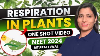 Respiration in Plants Class 11 one shot NCERT  All Concept amp PYQS  Ritu Rattewal  NEET Biology [upl. by Nelrsa191]