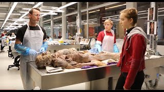 Plastinarium  KÖRPERWELTEN mit Livepräparation und Lernwerkstatt [upl. by Cazzie]