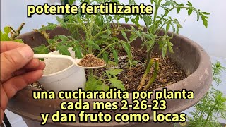 super potente fertilizante natural que pone tus plantas a dar fruto cómo locas [upl. by Daigle]