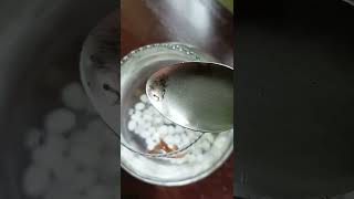 Fighter fish eating mosquito larvae 😍😍 [upl. by Lorene]