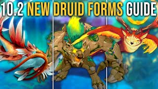 Complete Guide to All New Druid Forms in Patch 102 Guardians of the Dream WoW [upl. by Grubb]