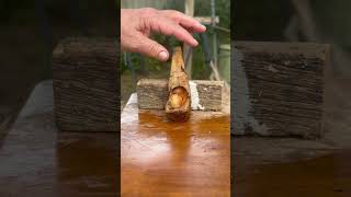 Spalted wood coffee scoop drying [upl. by Kauffmann]