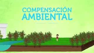 Compensación Ambiental Una oportunidad para todos [upl. by Eiuqnimod183]