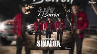 Hijos de Barron  En Vivo Desde Sinaloa Disco Completo [upl. by Harlene]